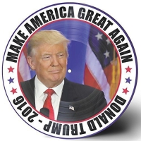 Donald Trump - Make America Great Again! - Donald Trump - 2016 vinyl cover