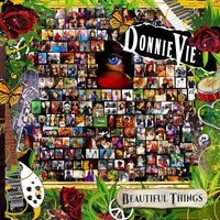Donnie Vie - Beautiful Things vinyl cover
