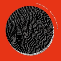 Dorian Concept - Nature Of Imitation vinyl cover