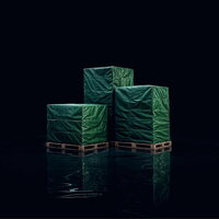 Doublespeak - DoubleSpeak vinyl cover