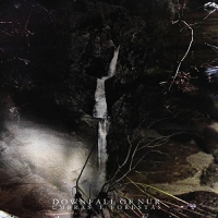 Downfall Of Nur - Umbras E Forestas vinyl cover