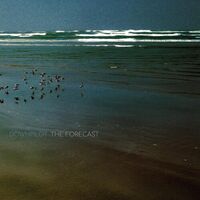 Downpilot - The Forecast vinyl cover
