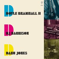 Doyle Bramhall - When the Music Is Over vinyl cover