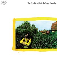 Dr. John - The Brightest Smile In Town vinyl cover