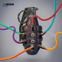 Dr Meaker - Dirt & Soul vinyl cover