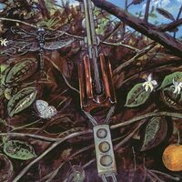 Dragonfly - Dragonfly vinyl cover