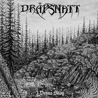 Drapsnatt - I Denna Skog vinyl cover