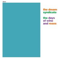 Dream Syndicate - The Days Of Wine And Roses
