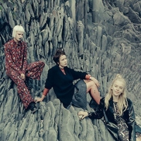 Dream Wife - Fire vinyl cover