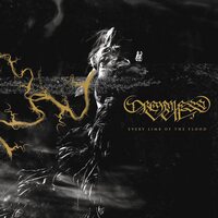 Dreamless Veil - Every Limb of the Flood vinyl cover