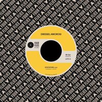 Dressel Amorosi - Synthporn / Cargo vinyl cover