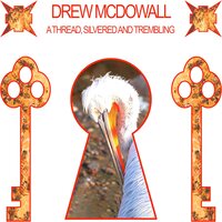 Drew McDowall - A Thread, Silvered and Trembling vinyl cover