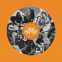 Drugdealer - Raw Honey vinyl cover