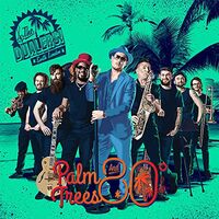 Dualers - Palm Trees & 80 Degrees vinyl cover