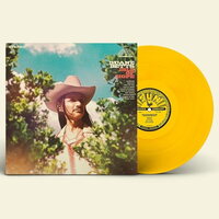 Duane Betts - Isle of Hope vinyl cover