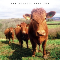 Dub Dynasty - Holy Cow vinyl cover