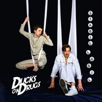 Ducks On Drugs - Stabil Labil vinyl cover