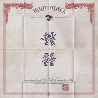 Dueling Experts - Dueling Experts vinyl cover