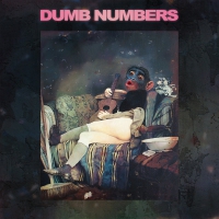 Dumb Numbers - Dumb Numbers Ii vinyl cover