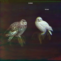 Dungen - Haexan  Soundtrack. vinyl cover