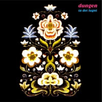 Dungen - Ta Det Lugnt vinyl cover