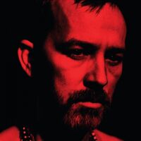 Duquette Johnston - The Social Animals vinyl cover