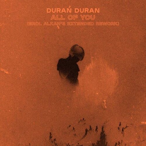 Duran Duran - All Of You Erol Alkan's Extended Rework vinyl cover