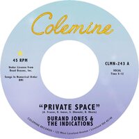 Durand Jones & the Indications - Private Space / Sea Of Love vinyl cover