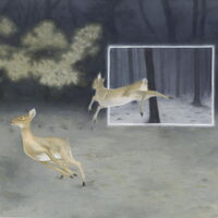 Dutch Interior - Blinded by Fame vinyl cover