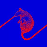 Dwarfs Of East Agouza - Rats Don't Eat Synthesizers vinyl cover