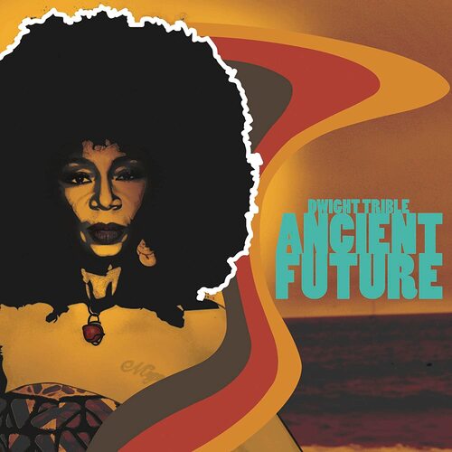 Dwight Trible - Ancient Future vinyl cover