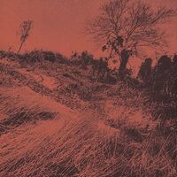 Dylan Ii - Kinou No Omoide Ni Wakare O Tsugerundamono vinyl cover
