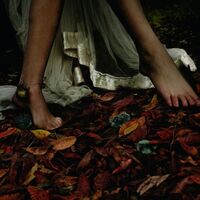 E-L-R - Vexier vinyl cover