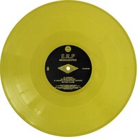 E.R.P - Microcentric Convextion Remix vinyl cover