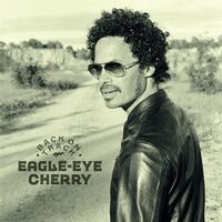 Eagle-Eye Cherry - Back On Track vinyl cover