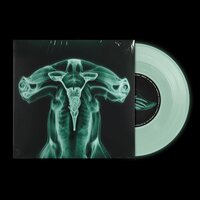 Eartheater - Shark Brain / Dolphin (Glow In The Dark) vinyl cover