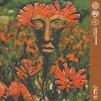 Earthly Measures - From Earth vinyl cover