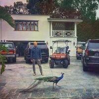 East Forest - Music For The Deck Of The Titanic (Sunset Swirl) vinyl cover