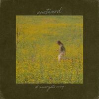 Eastwood - It Never Gets Easy vinyl cover