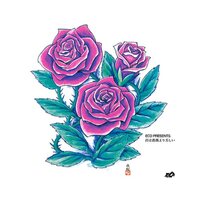 Ecd - Kimi wa Barayori Utukushii vinyl cover