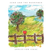 Echo & The Bunnymen - Apples For Isaac vinyl cover