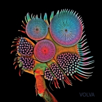 Echolot - Volva vinyl cover