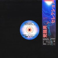 Ecstasy Boys - Selections, Vol. 1 vinyl cover