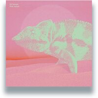 Ed Temple - Pink Velvet vinyl cover