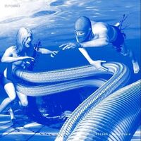 Ed1999 - Body Fluid vinyl cover
