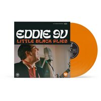 Eddie 9V - Black Flies vinyl cover