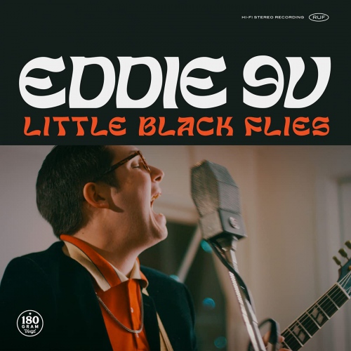 Eddie 9V - Little Black Flies vinyl cover