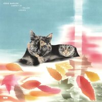 Eddie Marcon - Carpet Of Fallen Leaves vinyl cover