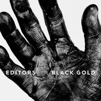 Editors - Black Gold -  Best Of Editors vinyl cover
