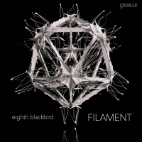 Eighth Blackbird - Filament vinyl cover